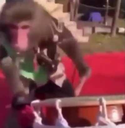 I made this edit, hope you like it