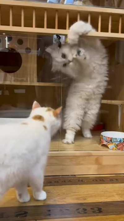 Prison break 😂😂