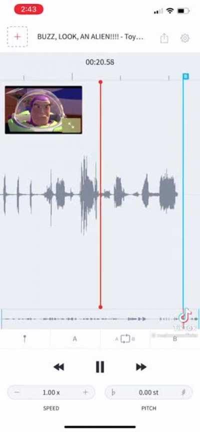 This isnt funny but it's pretty dumb funny 😂