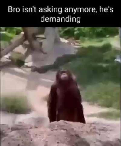 When I sell my first share for phone number amount of digits.