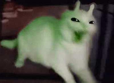 cat of the day 18 (ITS AN ALIEN AAAAAAAAAHHHH)