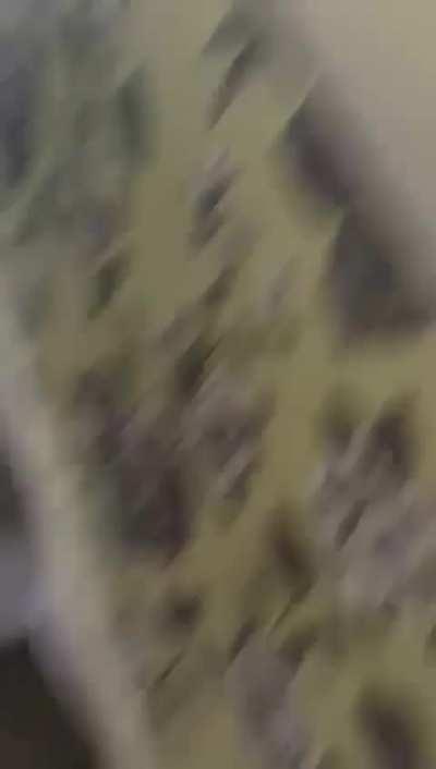 Inside the house that had a Container dropped on it 