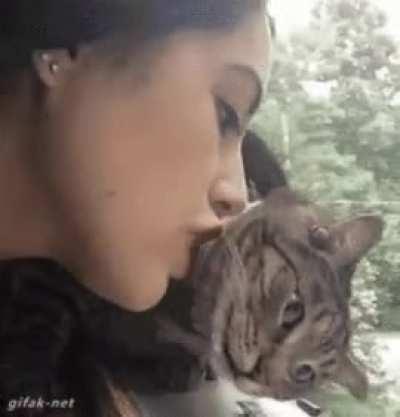 It burns, oh god it burns!