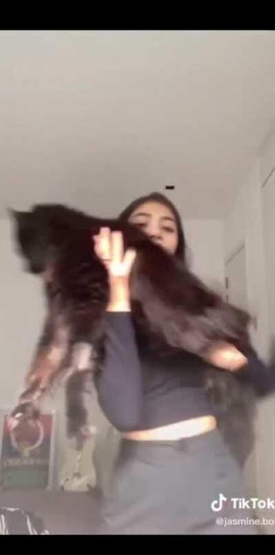 absolute unit of a cat found on my insta reels