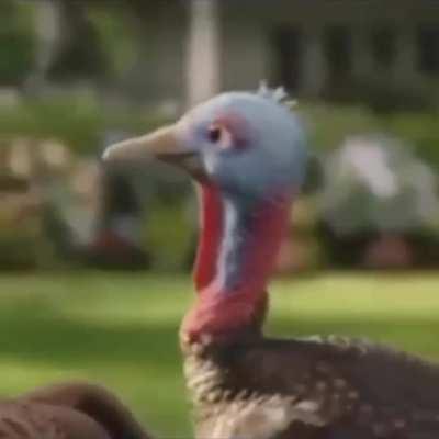 Me after 10 min on this sub: