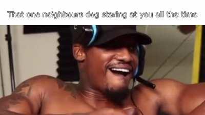 That one neighbors dog: