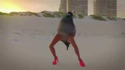 Her cici kuşun hayallerini süsleyen o kadın