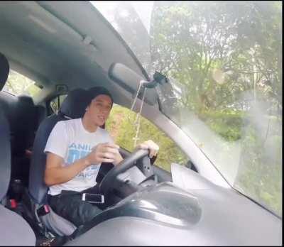 eagle crashes through car window