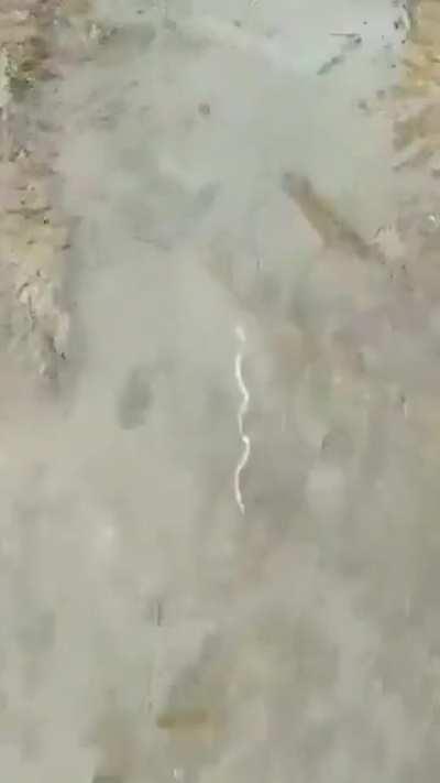 stick move opposite to flow of water