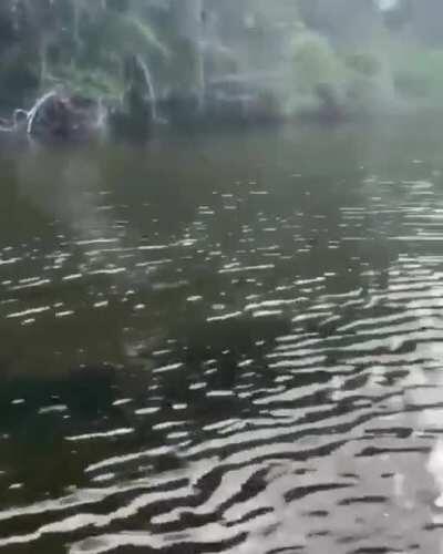 Thought this fit here