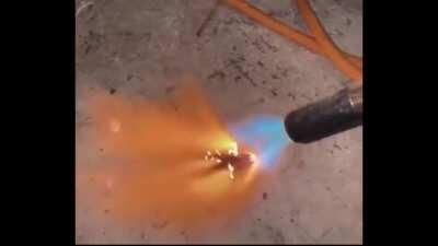 Why did he do mr cockroach like that