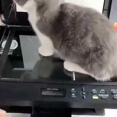 Catscan