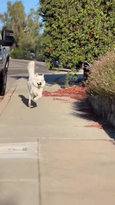 He was happy when I returned