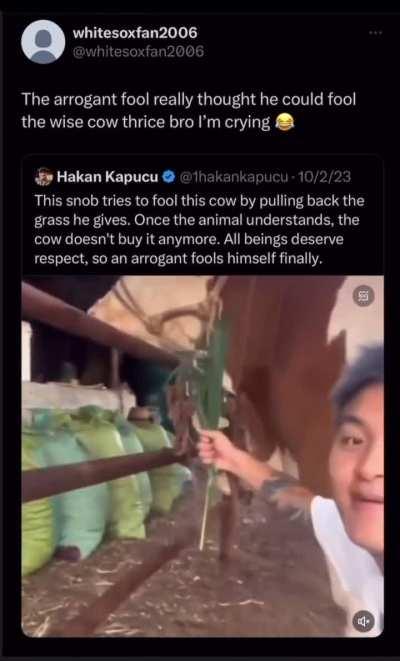 Shitposting daily because I'm copying that other guy (day 199)