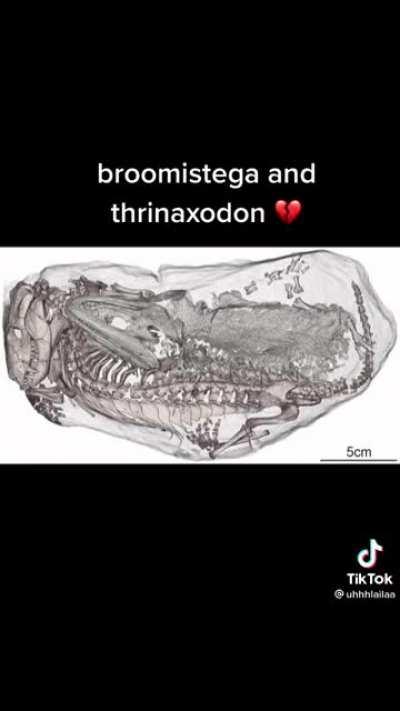 ~A love story as old as time~