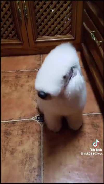 Surveillance camera wunker