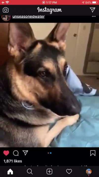 saddest boi of the year ;(