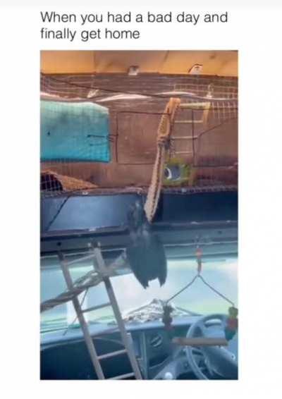 I like this feeling.