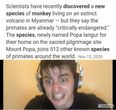 The first upside of 2020