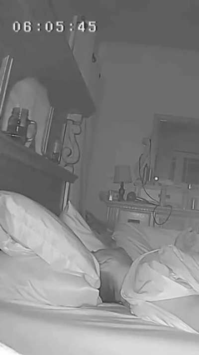 Profession: alarm clock. Still needs training