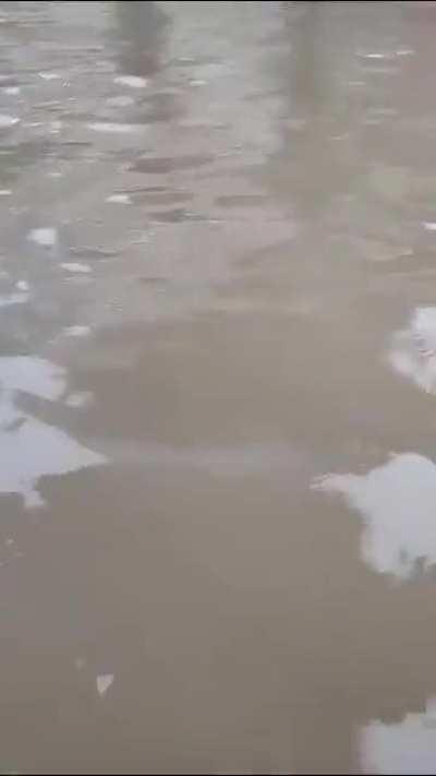 Mumbai, Dahisar Region Anand Nagar