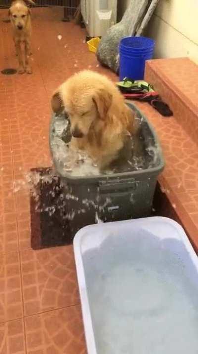 The struggle is real