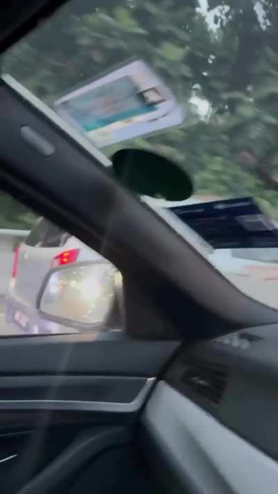 Not sure whether the snake or the driver …