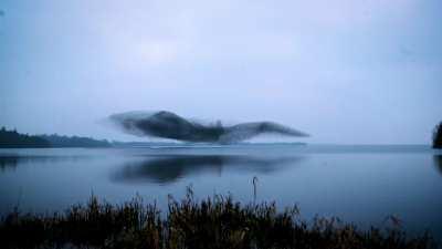 🔥 Starling Murmuration