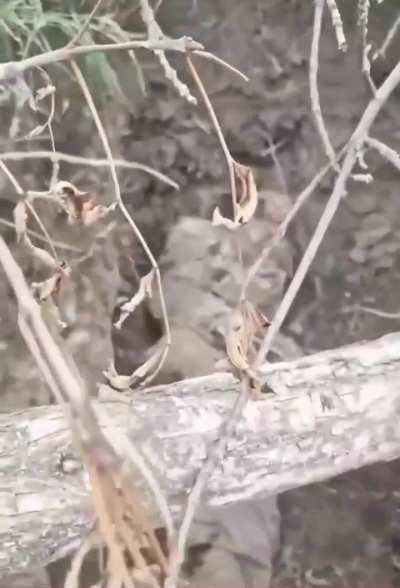 Drone attack aftermath