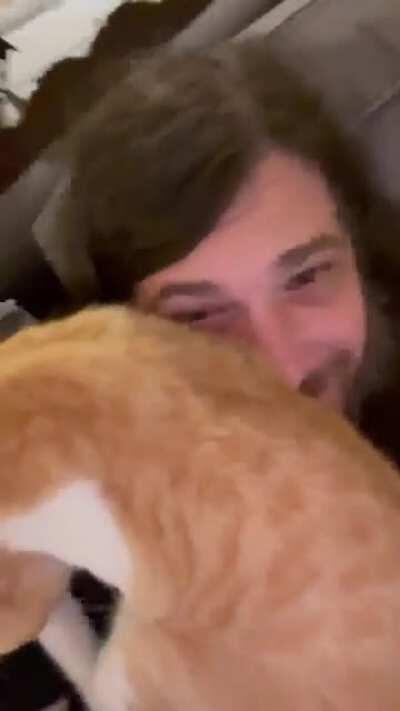 7 month old kitten doesn’t know personal boundaries