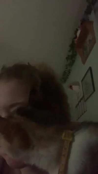 I wAke Up To GeTtInG bRuTaLly EaTeN aLiVe By My ShY rEsCuE tIgEr