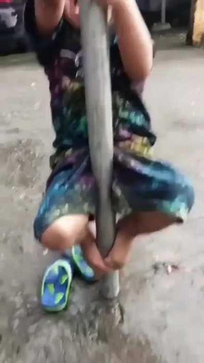 how'd he get up there?