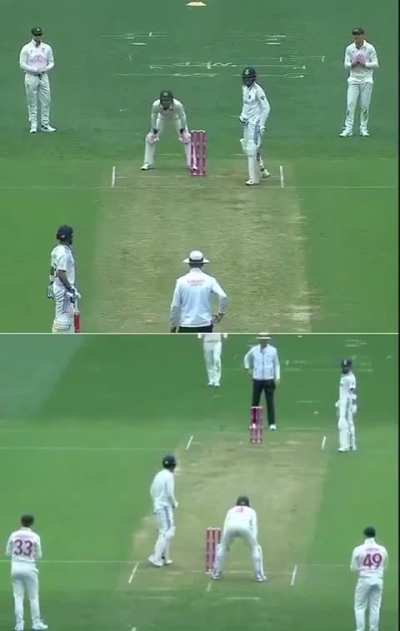 Smudge and PRince have a little chat