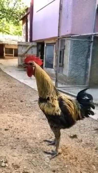 В глазах потемнело