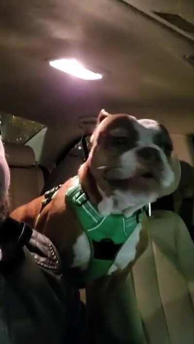 OH NO WHERE'S MOM GOING 🙀