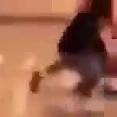 chat I think this is real (child labor) (sex)