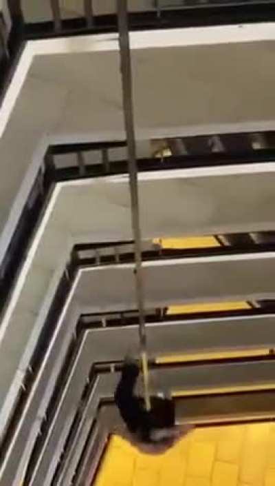 Some looney tunes stuff