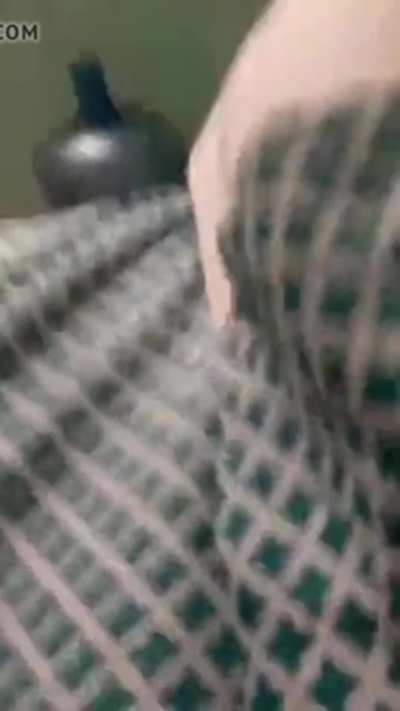 Hey you said I could don’t cry now