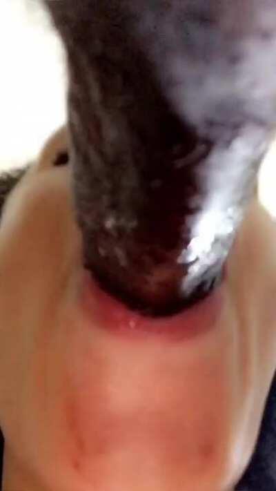 Draya banks Ilikemoneybye Onlyfans Mega HMU $$