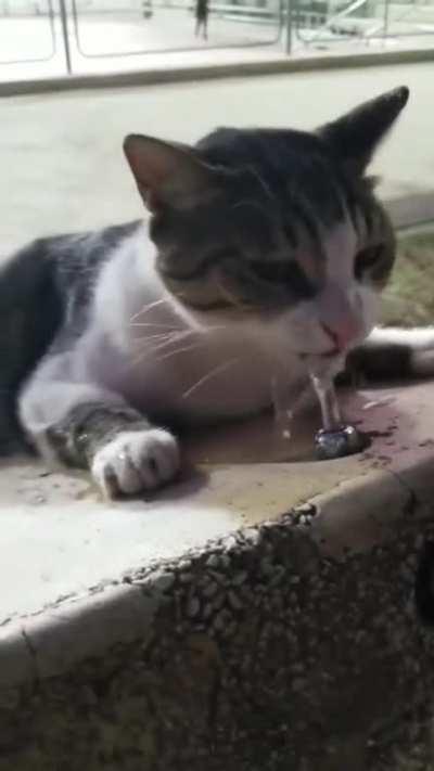 Helping a fellow homie out.