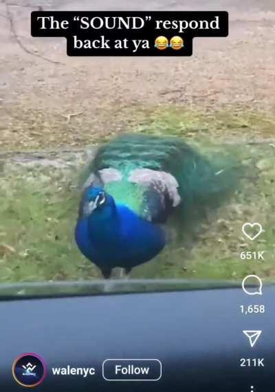 Look at this absolute creature 