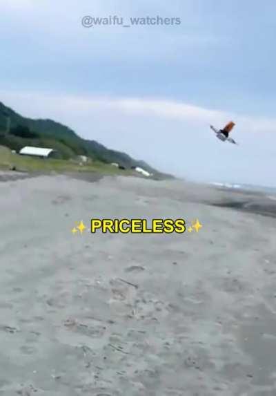 Maybe it's better this way...