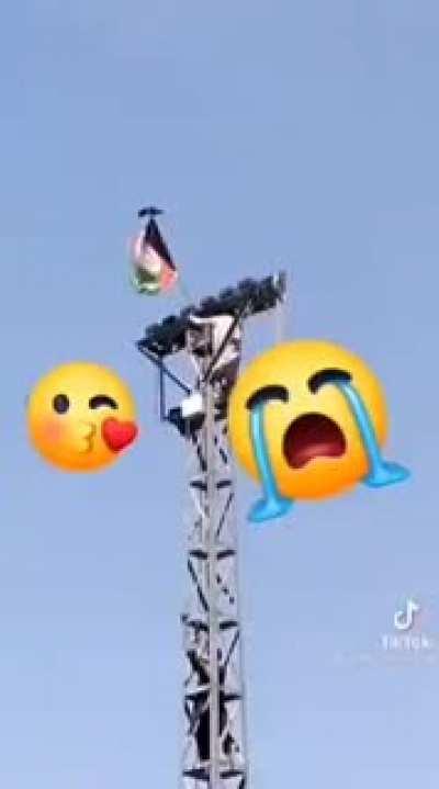 Birds attacking taliban members who are trying to takedown flag - todays protests