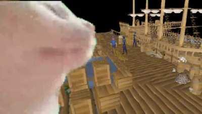 Oh shit! It's my jam