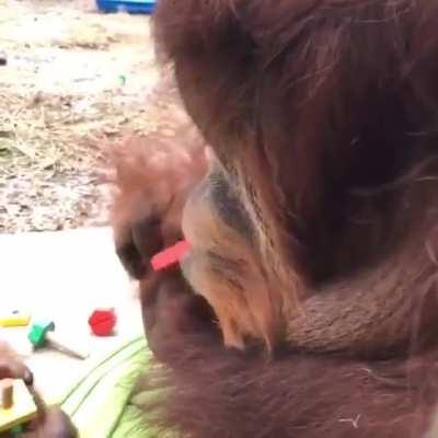 Why use your hands when your mouth will do?