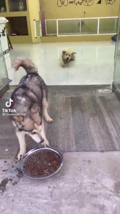 forgot how to walk on tiles