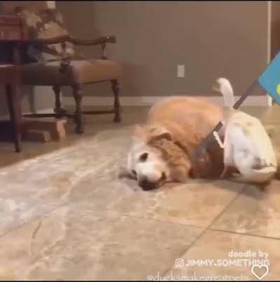 We claim this land as our own