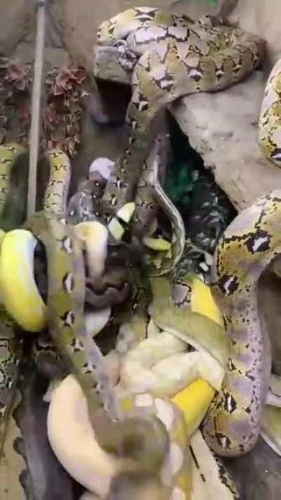 Когда зешел в бухгалтерию.