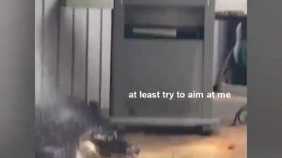 Rescue of a crocodile