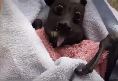 Mal so richtig abschmatzen